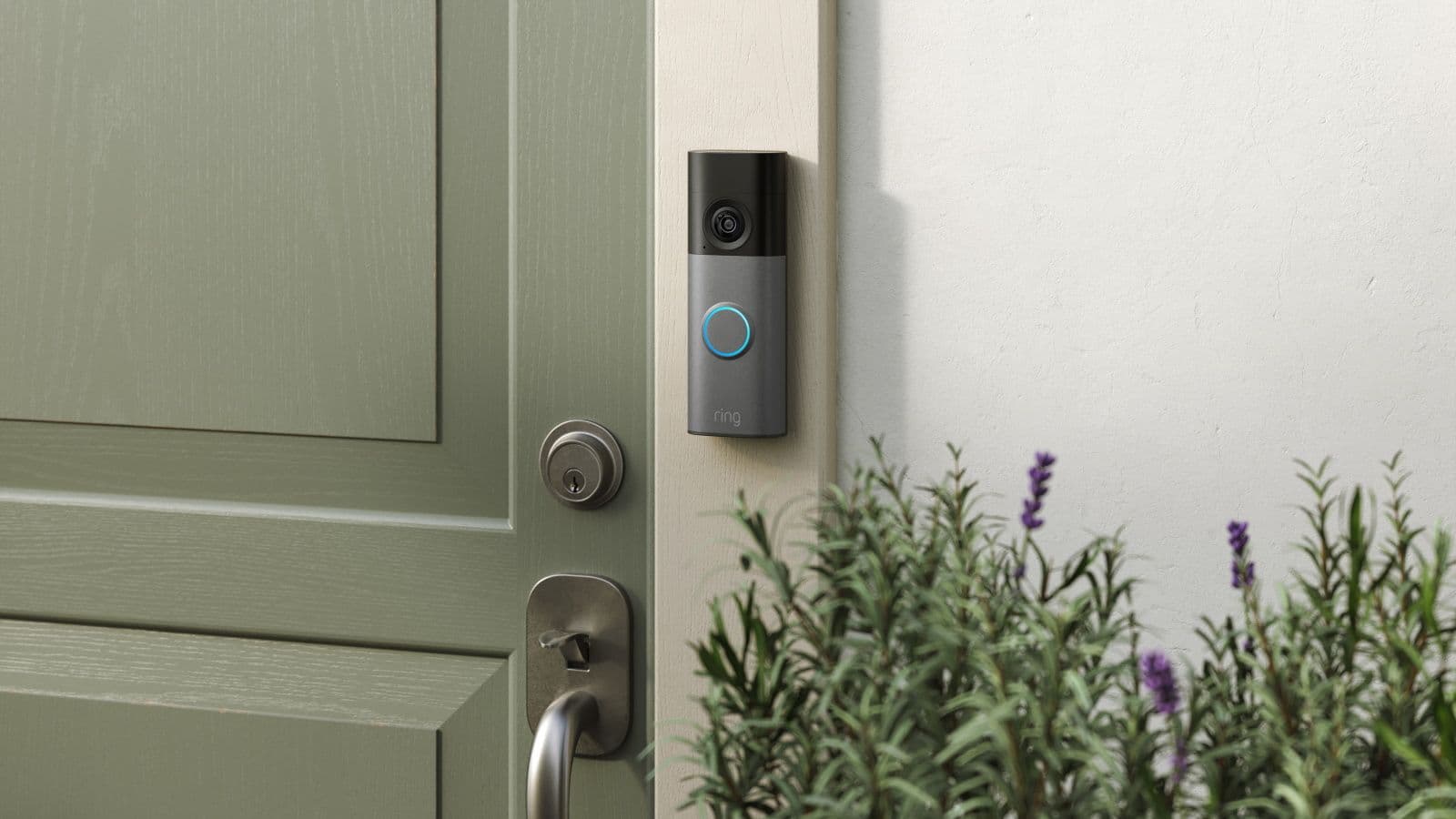 A Ring battery video doorbell mounted beside a front door surrounded by garden plants